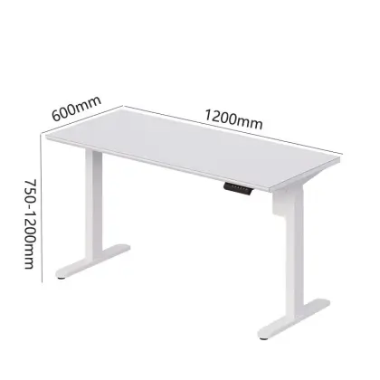 Adjustable Height Electric Lift Desk - Home Computer Lifting Table