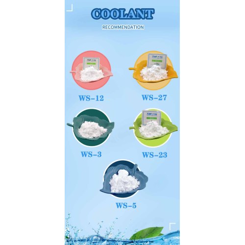 Agen pendingin seperti mint WS-5 Powder untuk E-jus