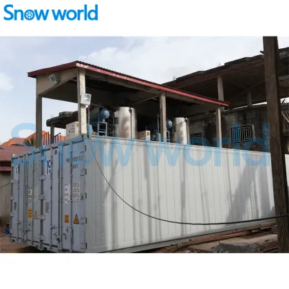 Snow world Flake Ice Machine Design