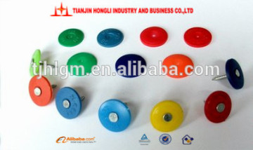 Roof screw nail with plastic cap factory price