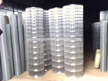 Bright Galvanized Welded Wire Mesh Netting