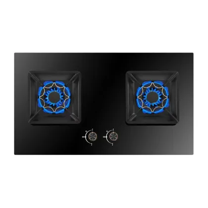 Kitchen Gas Stove Glass Panel Household Dual Stove IPG Gas Stove