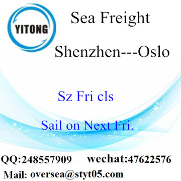 Consolidação de LCL do porto de Shenzhen a Oslo