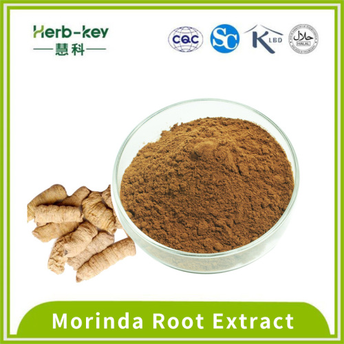 Herbal Medicine 10:1 Morinda officinalis extract brown yellow powder Supplier