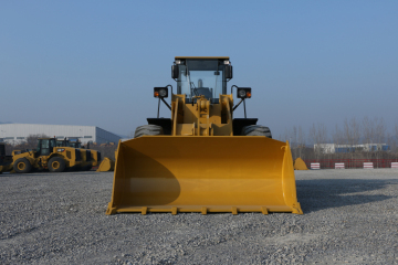 2018 SEM 652D Sand Wheel Loader