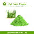 Health Products Oat Grass Powder Instant Oatmeal