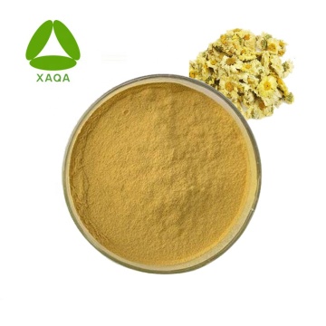 Chrysanthemum Indicum Extract Parthenolide Powder 0.3%