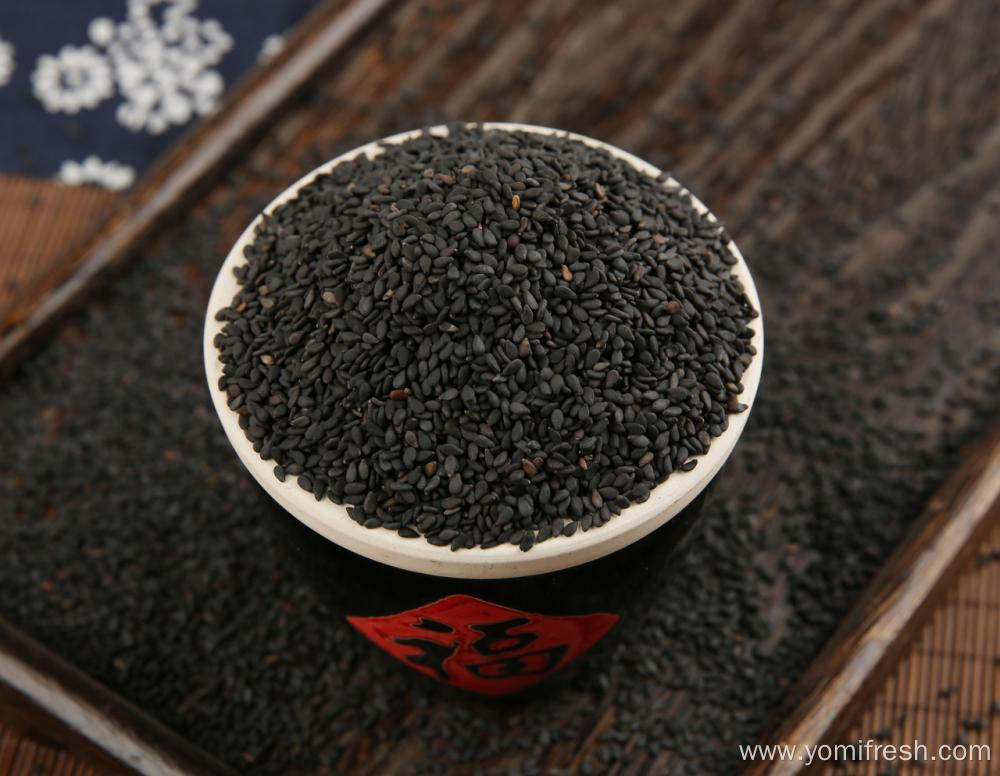 Black Sesame Plant