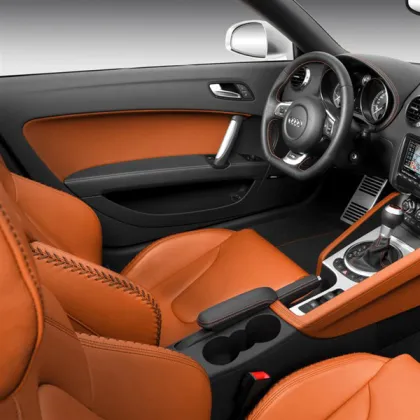 Plastic and Leather Keeper Upholstery cleaners
