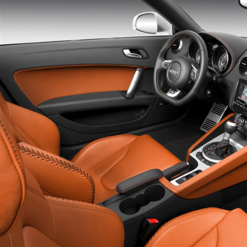 Plastic and Leather Keeper Upholstery cleaners