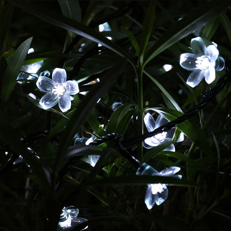 rose flower festival light