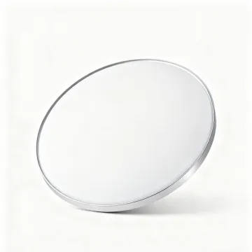 Ceiling Light with Adjustable Brightness Levels