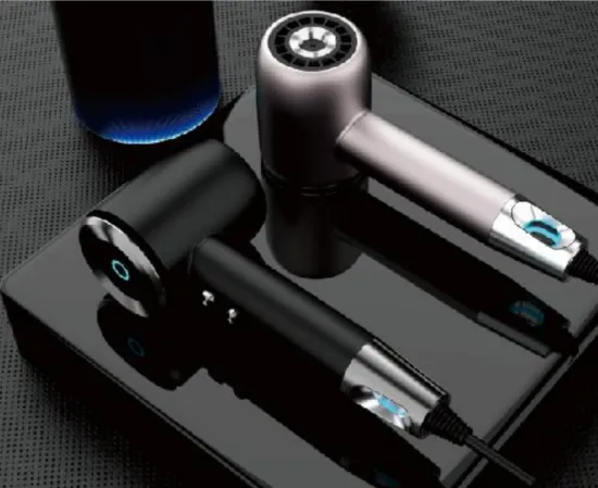 1800W Temperature Controlled Ionic Hair Dryer Professional