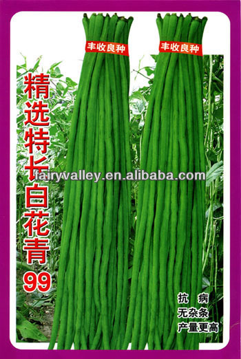 Selected Super Long Hybrid Green Chinese Long Bean Seeds Cowpea Seeds Long Asparagus Bean Seeds For Cultivation