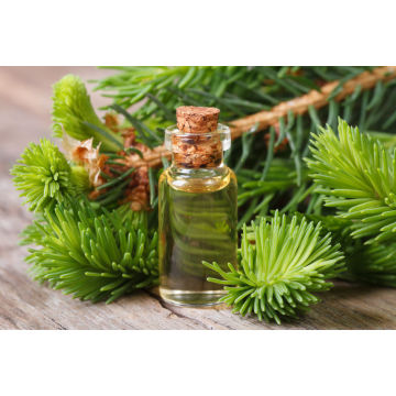 Wholesale bulk price pure natural cypress essential oil