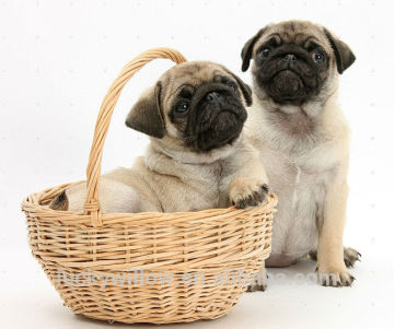 Function handmade pet basket/eco friendly pet bed