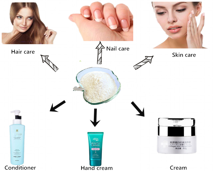 application of collagen