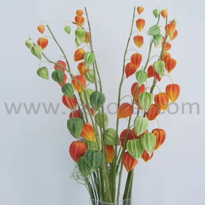 Wholesale artificial flower PU real touch cape gooseberry indian gooseberry for wedding decoration