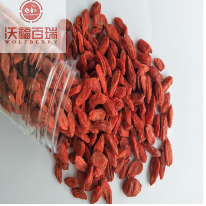 Chinese goji bessen voor biologisch voedsel