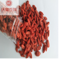 Grado superior chino hierba Superfood nutricional Goji bayas