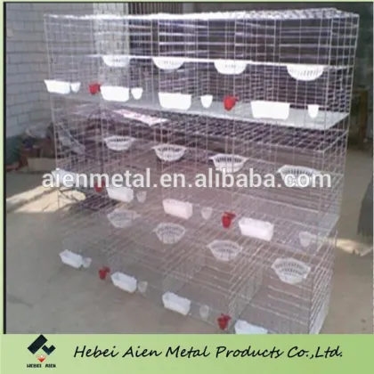 pigeon cage