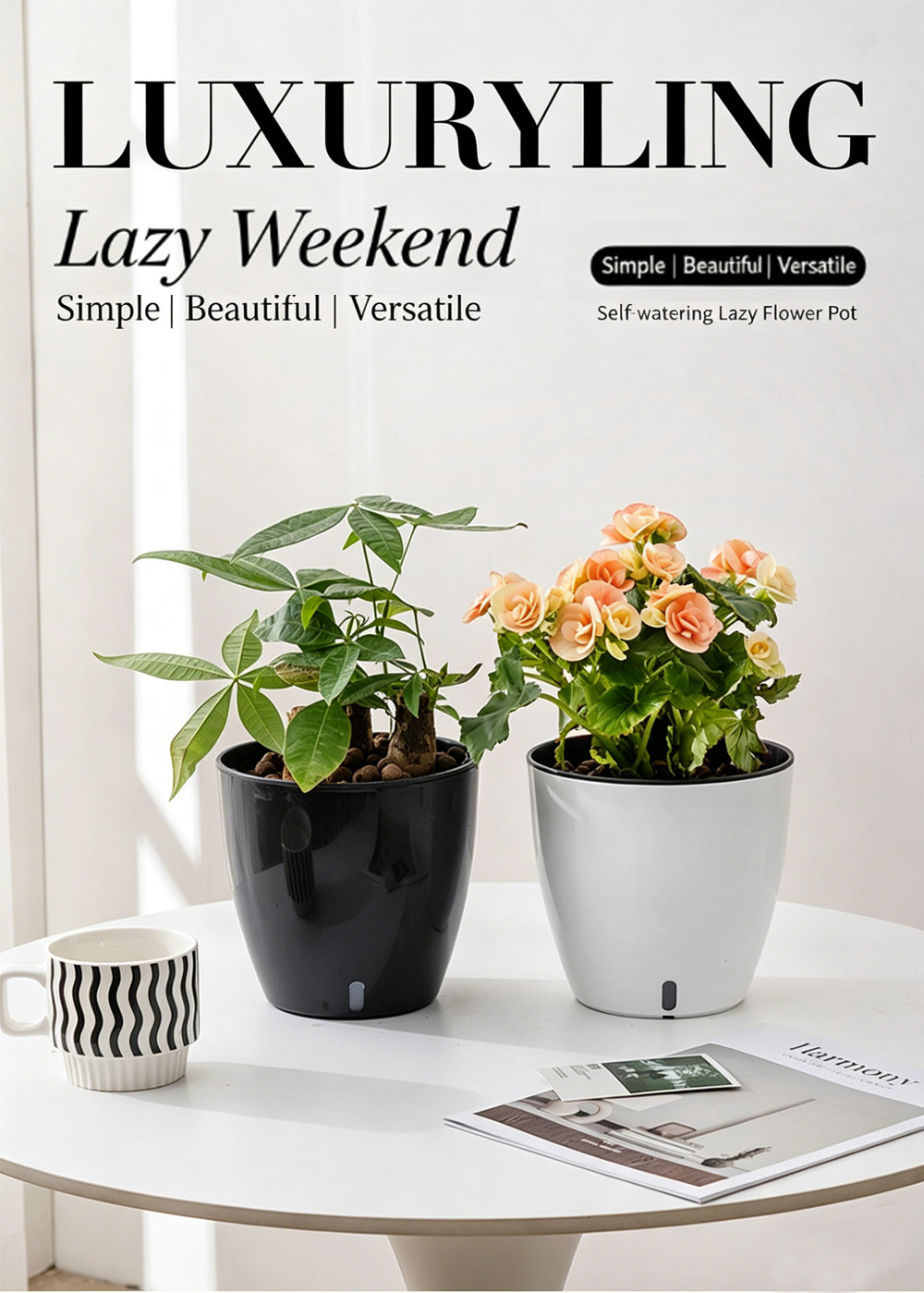 Visible Potted Plant 1