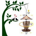 Alimentador de pássaros com capacidade de semente de 3 libras
