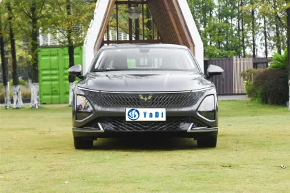 2024 Wuling Starlight Plug-in Hybrid 1.5L Electric Sedan - China Car