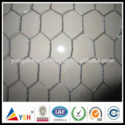 Hexagonal Hole Shape Hexagonal Wire Netting In Good Price (100% Factory)