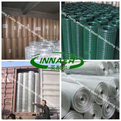 Cheap Welded Mesh, Innaer Factory Supply (16'&1"&2" inches)