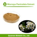 Extrait de Murraya Paniculata 100% Poudre Naturelle 10:1