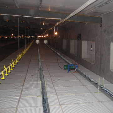 Factory Direct Chicken Slatted Floor for Poultry Farming