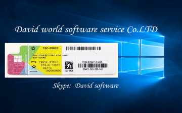 windows 10 home OEM COA label sticker win 10 home oem  100% online activation Wholesale genuine