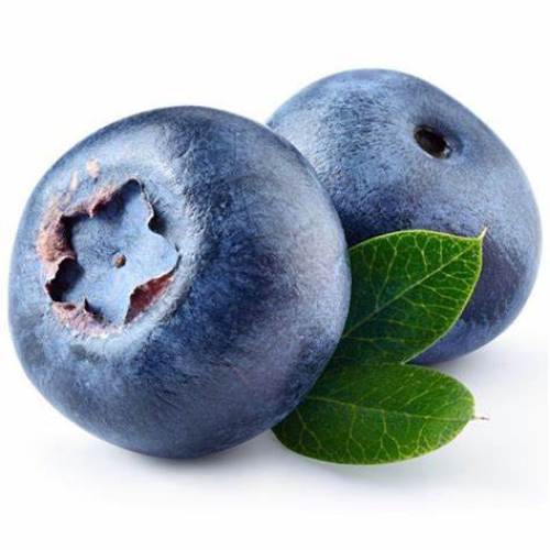 Wholesale Natural Bilberry Extract Powder