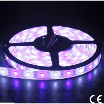30leds/m SMD5050 DC12V/DC24V LED strips