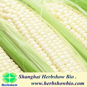 White Waxy Corn Seeds For Sale