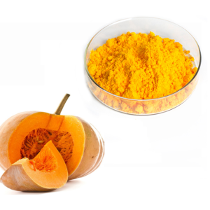 Private Label Quality Bulk Pumpkin Juice Powder