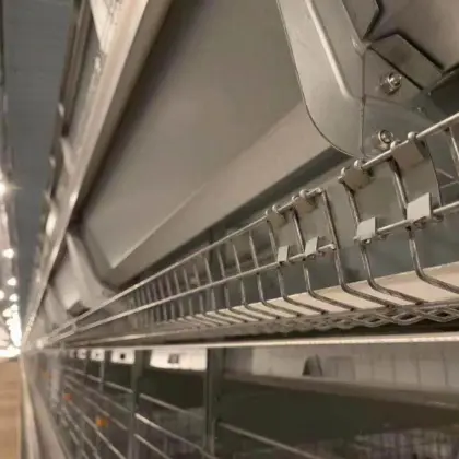 chicken cage system for chicken farm
