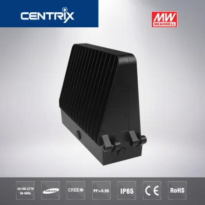 100w led outdoor wall lights for Meanwell driver Cree chip wall light