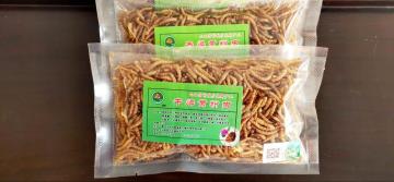 pet feed of dry yellow mealworm
