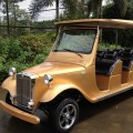 Voiturette de golf classique électrique de luxe avec CE