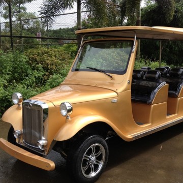 Carro de golf clásico eléctrico de lujo con CE