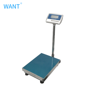 300kg Floor Scale with Ramp - Digital Scale for Heavy Duty Use