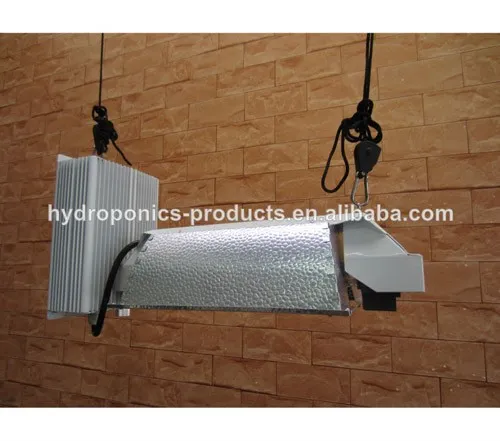 gavita style double end light