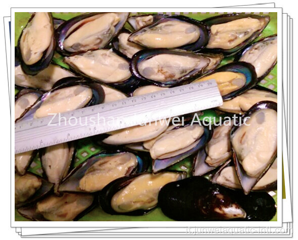 cozze mezzo guscio congelate