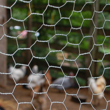 Sechseckgeflecht Chicken Wire Fencing