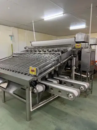 Shrimp And Fish Grading Machine