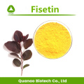 Quercetin Dihydrate Smoke Tree Extract 98% Fisetin Powder Factory