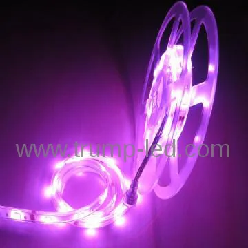 New  popular 12v christmas lighting