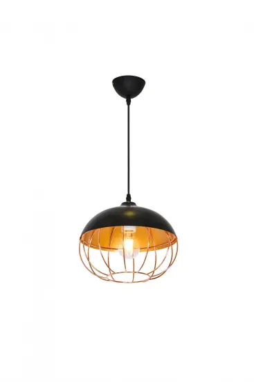 Modern LED Pendent Interior Iron Light